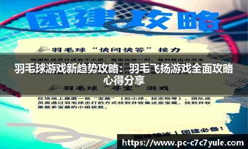 羽毛球游戏新趋势攻略：羽毛飞扬游戏全面攻略心得分享